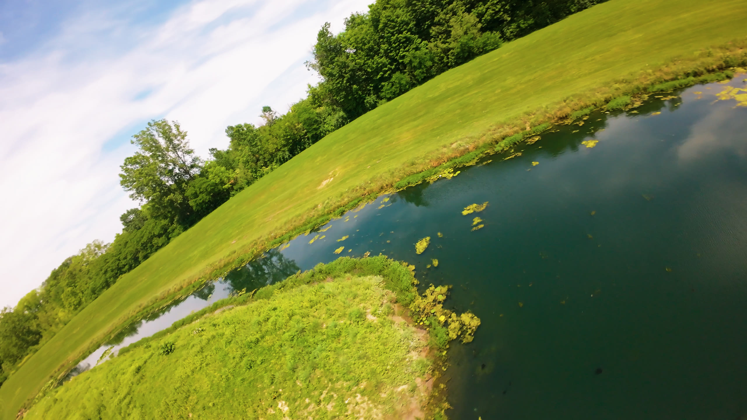 The same pond with the Velvia 50 look applied: vivid green grass and deep teal water