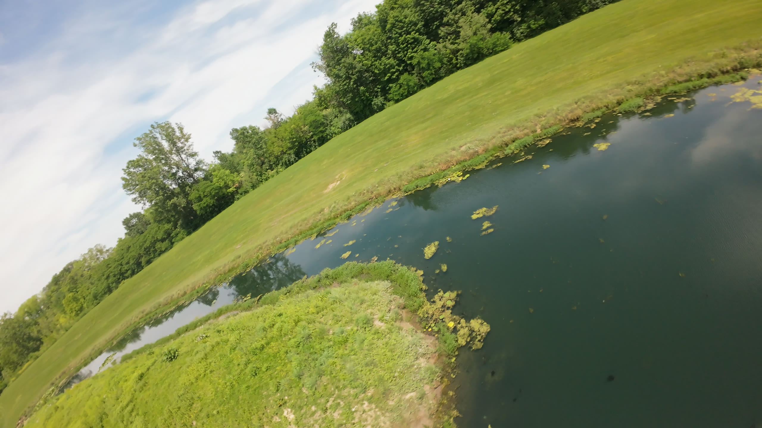 A pond beside a grassy bank with only a Rec.709 conversion applied, before the Velvia 50 look